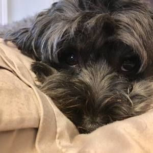 Meet your Posher, Dee